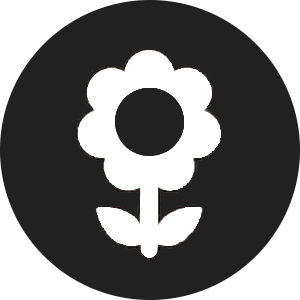 pompons flower icon for Uniflor
